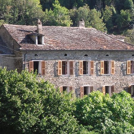 Chambre D'Hotes La Marlotte Castello-di-Rostino Exterior foto